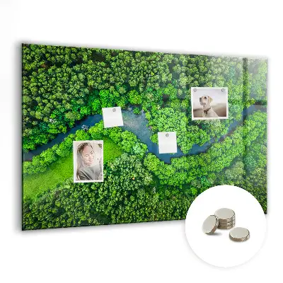 River in the forest magnetic board