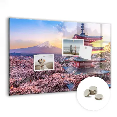 Japanese construction magnetic wall board