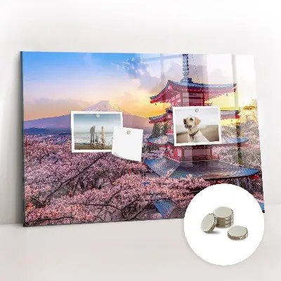 Japanese construction magnetic wall board