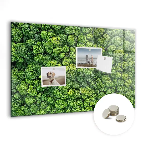 Forest from a bird's eye view magnetic glass dry erase board