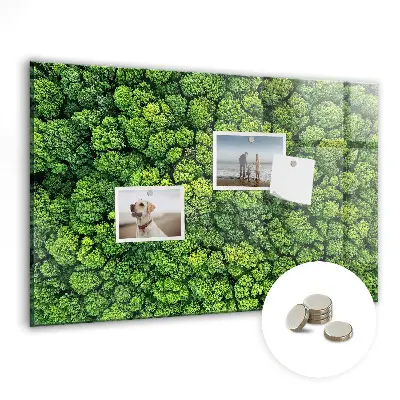 Forest from a bird's eye view magnetic glass dry erase board