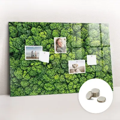 Forest from a bird's eye view magnetic glass dry erase board