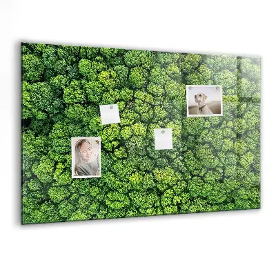 Forest from a bird's eye view magnetic glass dry erase board