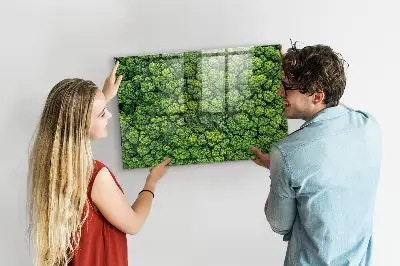 Forest from a bird's eye view magnetic glass dry erase board