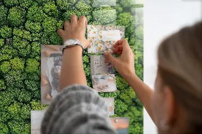 Forest from a bird's eye view magnetic glass dry erase board