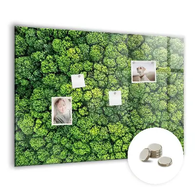 Forest from a bird's eye view magnetic glass dry erase board