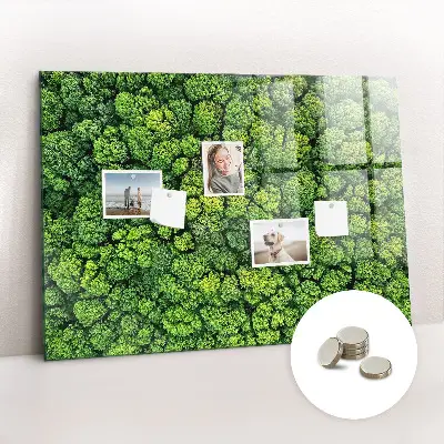 Forest from a bird's eye view magnetic glass dry erase board