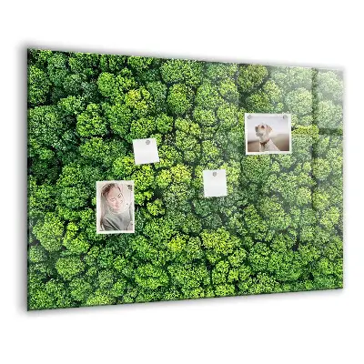 Forest from a bird's eye view magnetic glass dry erase board