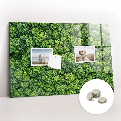 Forest from a bird's eye view magnetic glass dry erase board