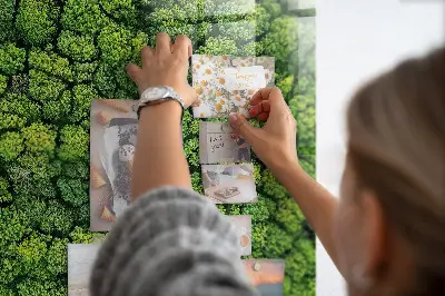 Forest from a bird's eye view magnetic glass dry erase board