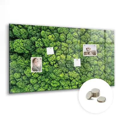Forest from a bird's eye view magnetic glass dry erase board