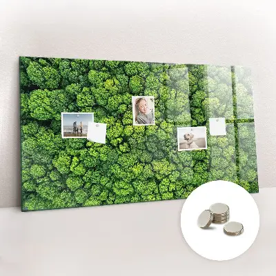 Forest from a bird's eye view magnetic glass dry erase board