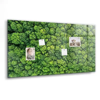 Forest from a bird's eye view magnetic glass dry erase board