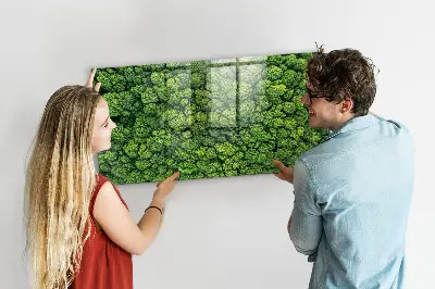 Forest from a bird's eye view magnetic glass dry erase board