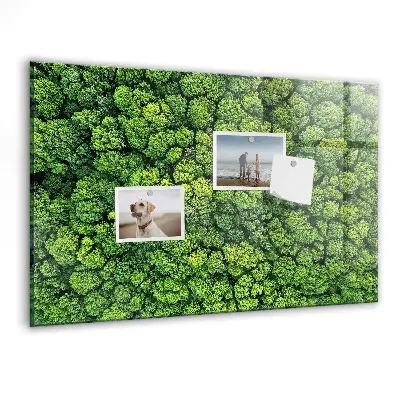 Forest from a bird's eye view magnetic glass dry erase board