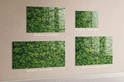 Forest from a bird's eye view magnetic glass dry erase board