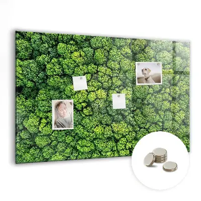Forest from a bird's eye view magnetic glass dry erase board
