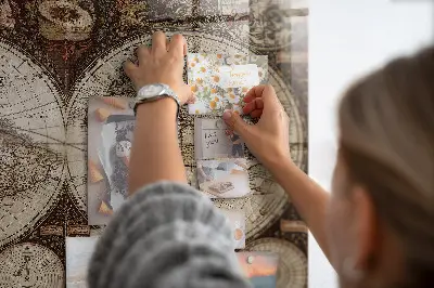 Old world map magnetic wall board