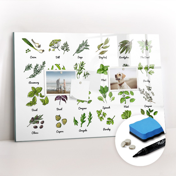 Magnetic erase board Types of trees