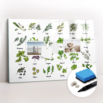 Magnetic erase board Types of trees