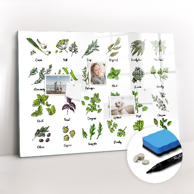 Magnetic erase board Types of trees