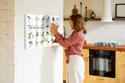 Magnetic erase board Types of trees