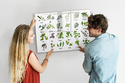 Magnetic erase board Types of trees