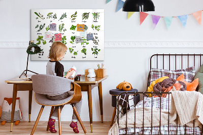 Magnetic erase board Types of trees