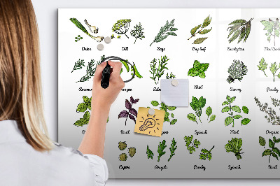 Magnetic erase board Types of trees