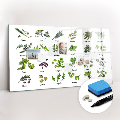 Magnetic erase board Types of trees