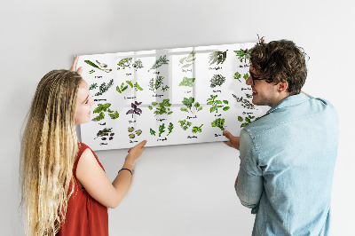 Magnetic erase board Types of trees