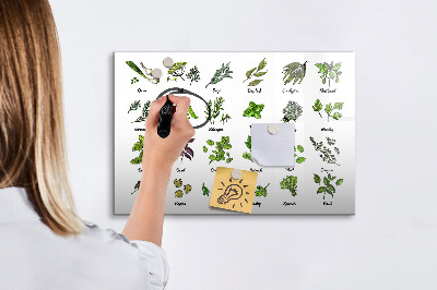 Magnetic drawing board Types of trees