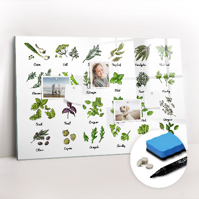Magnetic erase board Types of trees