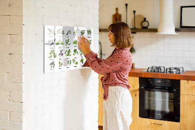 Magnetic erase board Types of trees