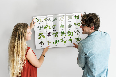 Magnetic erase board Types of trees