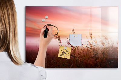 Magnetic writing board Foggy morning