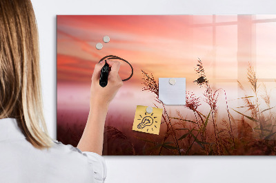 Magnetic writing board Foggy morning