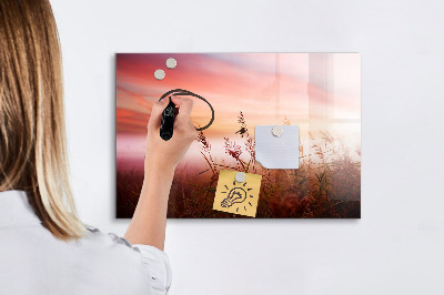 Magnetic writing board Foggy morning