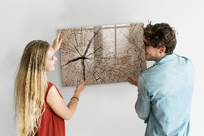 Magnetic writing board Old wood stump