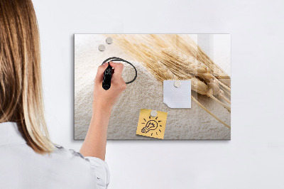 Magnetic board for writing Flour