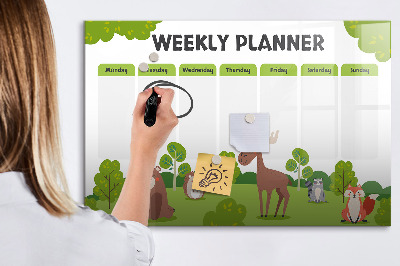 Magnetic drawing board Lesson Planner