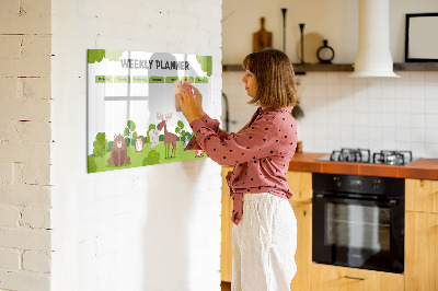 Magnetic drawing board Lesson Planner