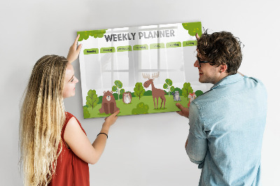 Magnetic writing board Lesson Plan