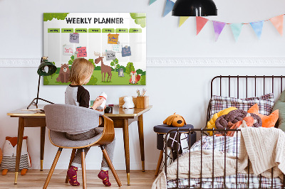 Magnetic drawing board Lesson Planner