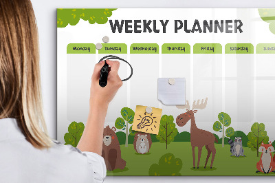 Magnetic writing board Lesson Plan