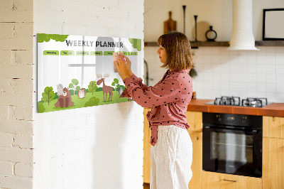 Magnetic writing board Lesson Plan