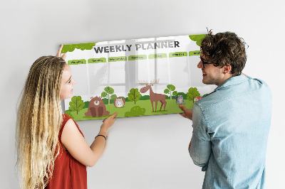 Magnetic drawing board Lesson Plan