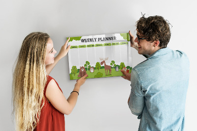 Magnetic drawing board Lesson Plan