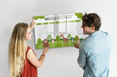 Magnetic writing board Lesson Plan
