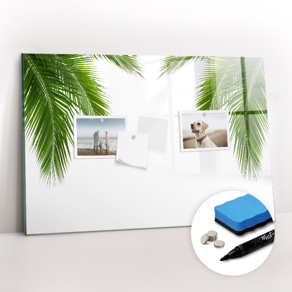 Magnetic erase board Palm leaves nature